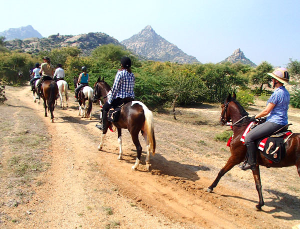 Narlai to Ranakpur Horse Safari