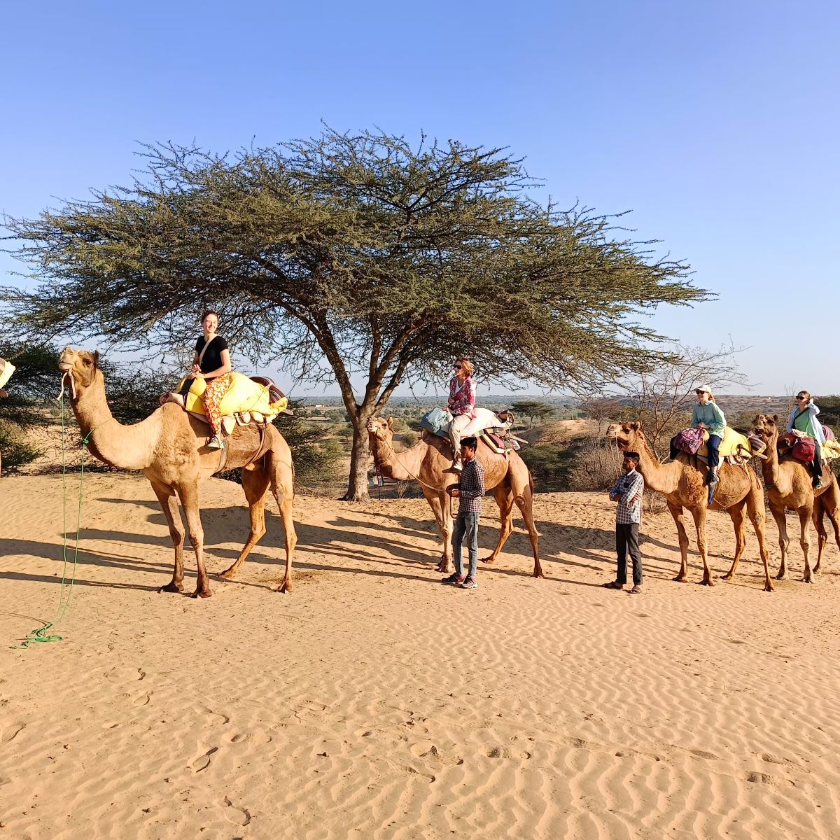 osian desert safari camp