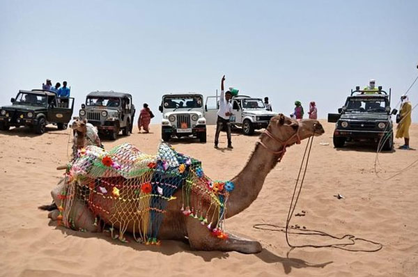 osian jeep safari