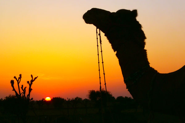 sunset photography near jodhpur