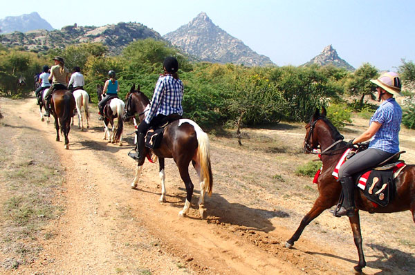 india horse riding holidays